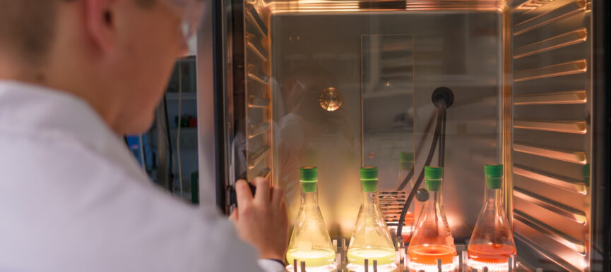 Schülerworkshop Biotechnologie an der TH-OWL